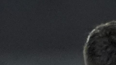 Inter Miami ha realizado importantes contrataciones para su plantilla.