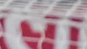 New York Red Bulls' Emil Forsberg (10) scores a goal during the second half of a Leagues Cup soccer match against Chivas Guadalajara Thursday, July 31, 2025, in Harrison, N.J. (AP Photo/Frank Franklin II)