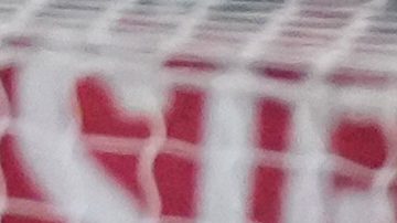 New York Red Bulls' Emil Forsberg (10) scores a goal during the second half of a Leagues Cup soccer match against Chivas Guadalajara Thursday, July 31, 2025, in Harrison, N.J. (AP Photo/Frank Franklin II)