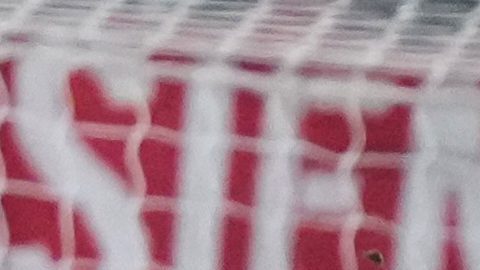New York Red Bulls' Emil Forsberg (10) scores a goal during the second half of a Leagues Cup soccer match against Chivas Guadalajara Thursday, July 31, 2025, in Harrison, N.J. (AP Photo/Frank Franklin II)