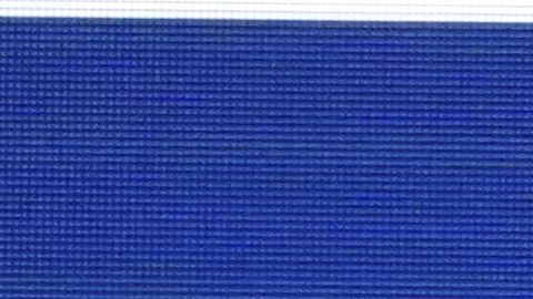 Athletes of team United States celebrate after winning gold medal in the women's 4x100-meter medley relay final at the World Aquatics Championships in Singapore, Sunday, Aug. 3, 2025. (AP Photo/Vincent Thian)