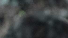 Son Heung-Min durante uno de sus últimos partidos con el Tottenham.