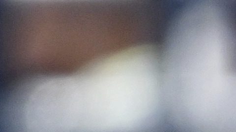 Freddie Freeman (5) de los Dodgers de Los Ángeles celebra tras anotar una carrera ante los Rays de Tampa Bay el domingo 3 de agosto de 2025, en Tampa, Florida. (AP Foto/Jason Behnken)