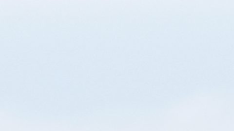 Javier Nolasco celebra con sus compañeros la carrera que le dio el triunfo a México este domingo.