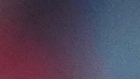 Los Angeles FC forward Heung Min Son, top, celebrates with teammates after scoring during the first half of an MLS soccer match against FC Dallas in Frisco, Texas, Saturday, Aug. 23, 2025. (AP Photo/LM Otero)