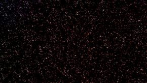 Más de 30 millones de personas se encuentran bajo alertas de calor desde Arizona hasta Washington.