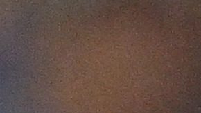 Los Angeles Dodgers Mookie Betts (50) is congratulated by Dodgers' Freddie Freeman after hitting a solo home run during the sixth inning of a baseball game Monday, Aug. 25, 2025, in Los Angeles. (AP Photo/Jayne Kamin-Oncea)