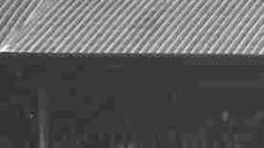 Julio César León compitió en los Juegos Olímpicos de Londres 1948.