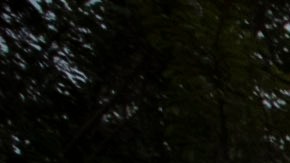 In this July 8, 2019, photo, a U.S. Immigration and Customs Enforcement (ICE) officers escort a man in handcuffs during an operation in Escondido, Calif. The carefully orchestrated arrest last week in this San Diego suburb illustrates how President Donald Trump's pledge to start deporting millions of people in the country illegally is virtually impossible with ICE's budget and its method of picking people up. (AP Photo/Gregory Bull)