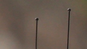 Two San Bernardino County sheriff's deputies stand guard near the area where a shooting took place in Riverside, Calif, Thursday, Feb. 7, 2013. Police launched a massive manhunt for a former Los Angeles officer suspected of going on a killing spree, slaying a couple over the weekend, opening fire on two Los Angeles officers early Thursday and then ambushing two other police officers, killing one. (AP Photo/Jae C. Hong