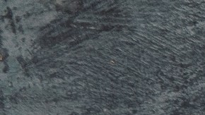 Bacteria hallada en los alimentos podría mejorar significativamente la nutrición