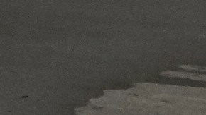 El gobernador de Florida, Ron DeSantis, inauguró las instalaciones en julio y se había convertido en un símbolo del gobierno de Trump.