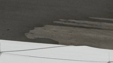 El gobernador de Florida, Ron DeSantis, inauguró las instalaciones en julio y se había convertido en un símbolo del gobierno de Trump.