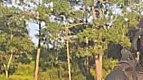 Arresto de traficante de personas