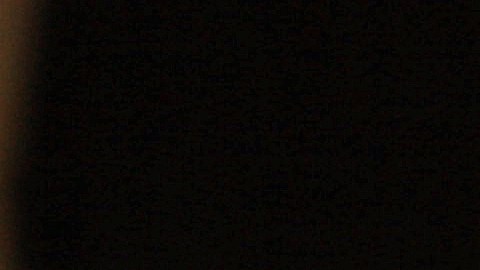 Así es la moneda de $1 que vale hasta $13,500