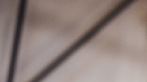 Enfermedades respiratorias: el asma y la EPOC, ¿cómo mejorar la calidad de vida?