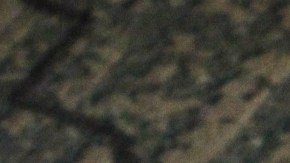 Revelan que diagnósticos de autismo se producen antes en niños que niñas, ¿qué impacto tiene?