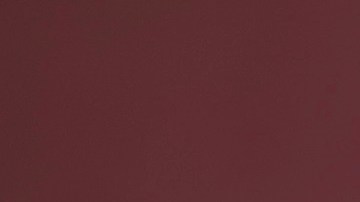 Bella Thorne sorprende al proponerle matrimonio a su novio