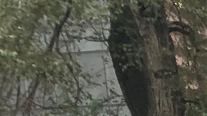 Nueva York intensifica esfuerzos para evaluar y eliminar a enfermos mentales de las calles y el metro