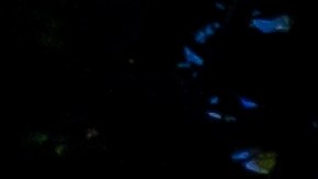 Capital One demanda por $45 millones de dólares