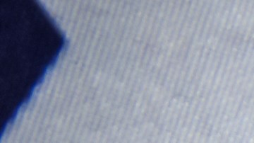 Cheques de estímulo en septiembre