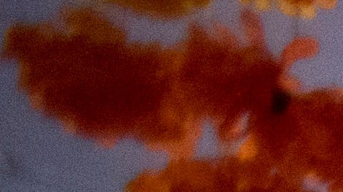 Pixar confirma oficialmente la secuela de ‘Coco’ y anuncia novedades de ‘Toy Story 5’ y ‘Zootopia 2’