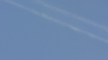 Costco no permitirá la venta de la controvertida píldora abortiva mifepristona