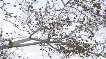 Oficinas del Departamento de Estado