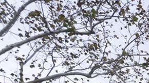 Edificio del Departamento de Justicia