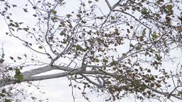 Oficinas del Departamento de Estado