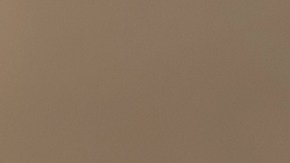 Gusano parásito intrusivo podría conducir a tratamientos del dolor sin crear dependencia