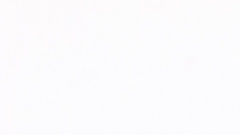 Dólar de la paz de 1928