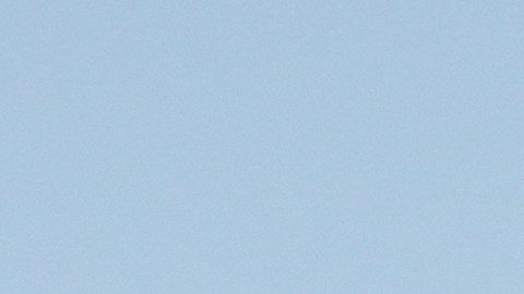 Donald Trump elogia a Sydney Sweeney y dice que la campaña de American Eagle es “fantástica”