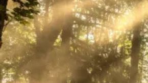 El Jeep Cherokee 2026 llega con muchas novedades