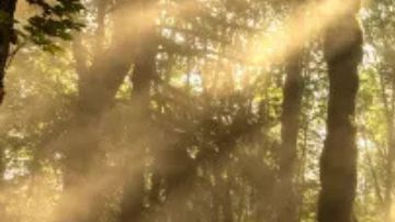 El Jeep Cherokee 2026 llega con muchas novedades