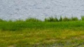 El nostálgico Ford Bronco Roadster OG Concept