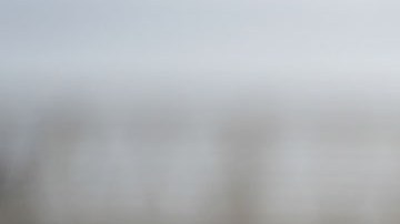 Eleni Kounalakis, vicegobernadora de California