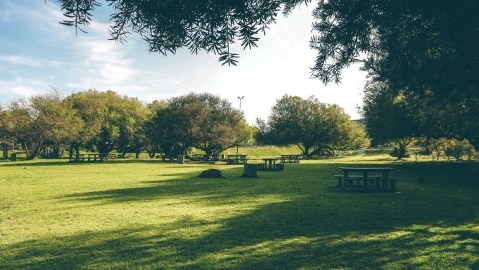 Espacios verdes son claves para combatir las olas de calor
