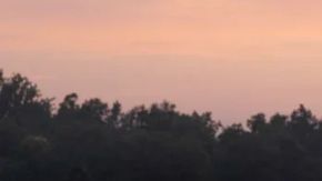 Este es el muy atractivo Mustang GTD Liquid Carbon