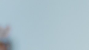 Investigadores comprueban que más del 70% de los genes de resistencia a los antibióticos están en la cadena alimentaria