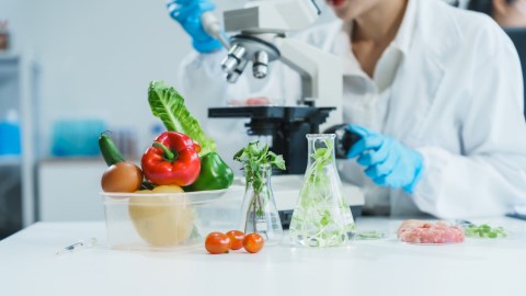 Investigadores comprueban que más del 70% de los genes de resistencia a los antibióticos están en la cadena alimentaria