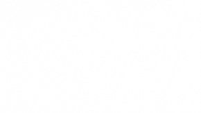 Revelan que células grasas pueden alimentar los tumores cancerosos