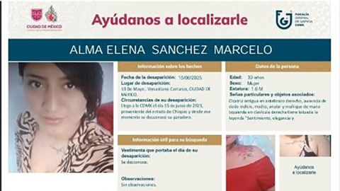 Ficha de búsqueda