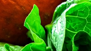 Incluir al menos 5 porciones diarias de frutas y verduras reduce riesgos de enfermedades no transmisibles