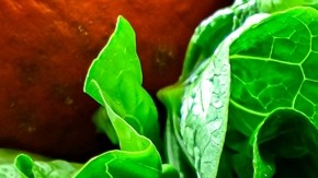 Incluir al menos 5 porciones diarias de frutas y verduras reduce riesgos de enfermedades no transmisibles