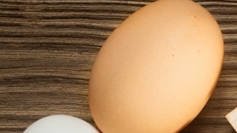 La importancia de la vitamina D en la salud intestinal y enfermedades crónicas