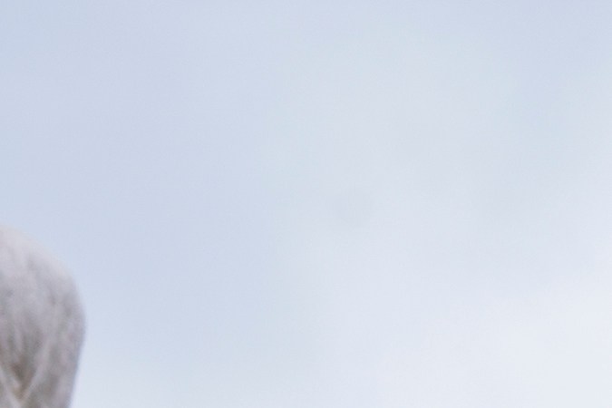 Policías y tropas de la Guardia Nacional fueron desplegados por Trump en Washington D.C. para combatir el crimen.