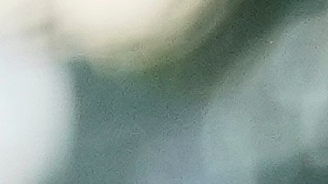 'Frankenstein' de Guillermo del Toro recibe una ovación histórica de 13 minutos en Venecia