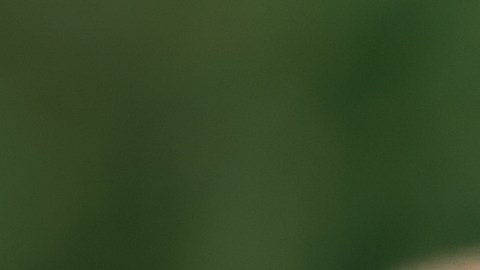 El monto tan elevado de la multa se debe en parte a que el turista no contaba con los permisos necesarios para poder hacer despegar su drone