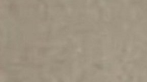 Brote de salmonela relacionado con huevos retirados del mercado ha enfermado a casi 100 personas